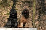 BRIARD 038